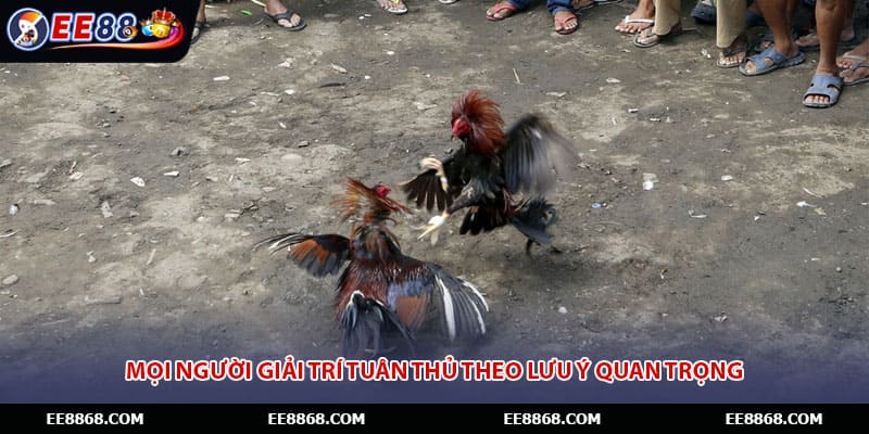 Mọi người giải trí tuân thủ theo lưu ý quan trọng