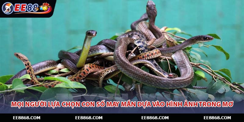 Mọi người lựa chọn con số may mắn dựa vào hình ảnh trong mơ